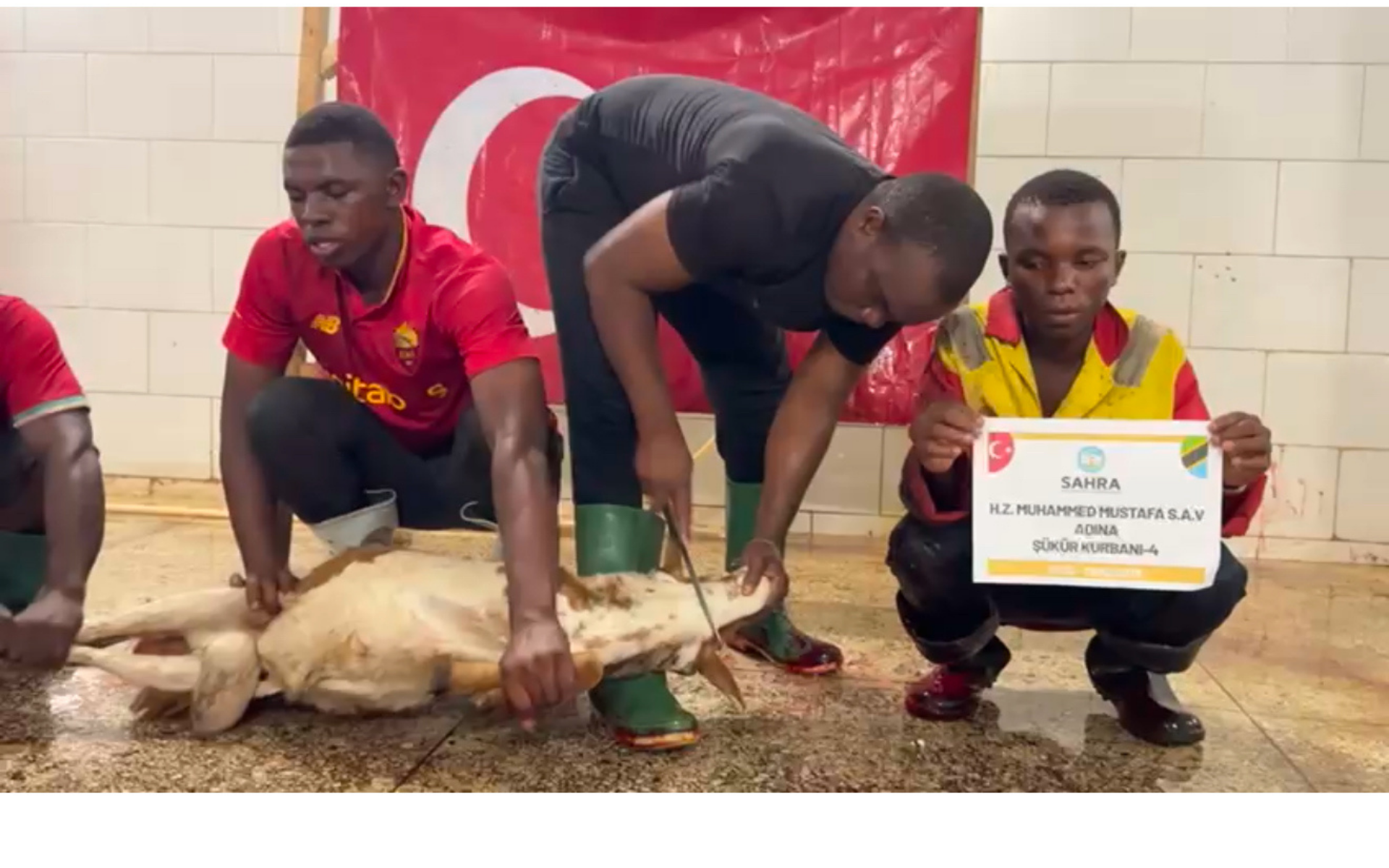 Kurban Bağışı (Adak-Akika-Şükür)